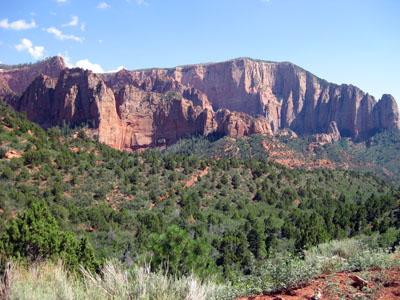 Timber Top Mountain